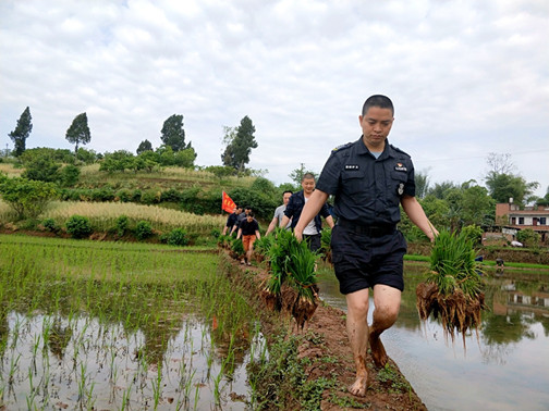 帮扶走在田埂上.jpg 帮扶走在田埂上.jpg