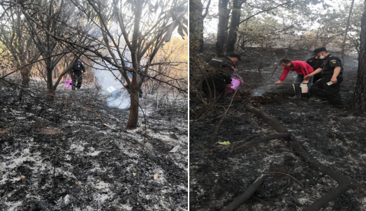 1585796287(1).png 1585796287(1).png