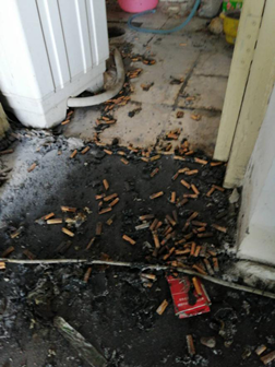 图片2.png 图片2.png